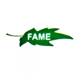 fame Logo