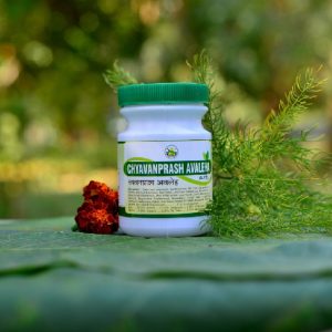 Shree Akshar Chyavanprash Avaleha | Useful In Boosting Immunity And Respiratory Strength
