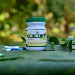 Shree Akshar Kaucha Pak | Useful In Male Vitality And Reproductive Wellness