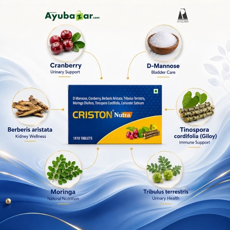 Ayulabs Criston Nutra Tablets || Pack Of 10 Tabs || Useful For Kidney Health - Image 2
